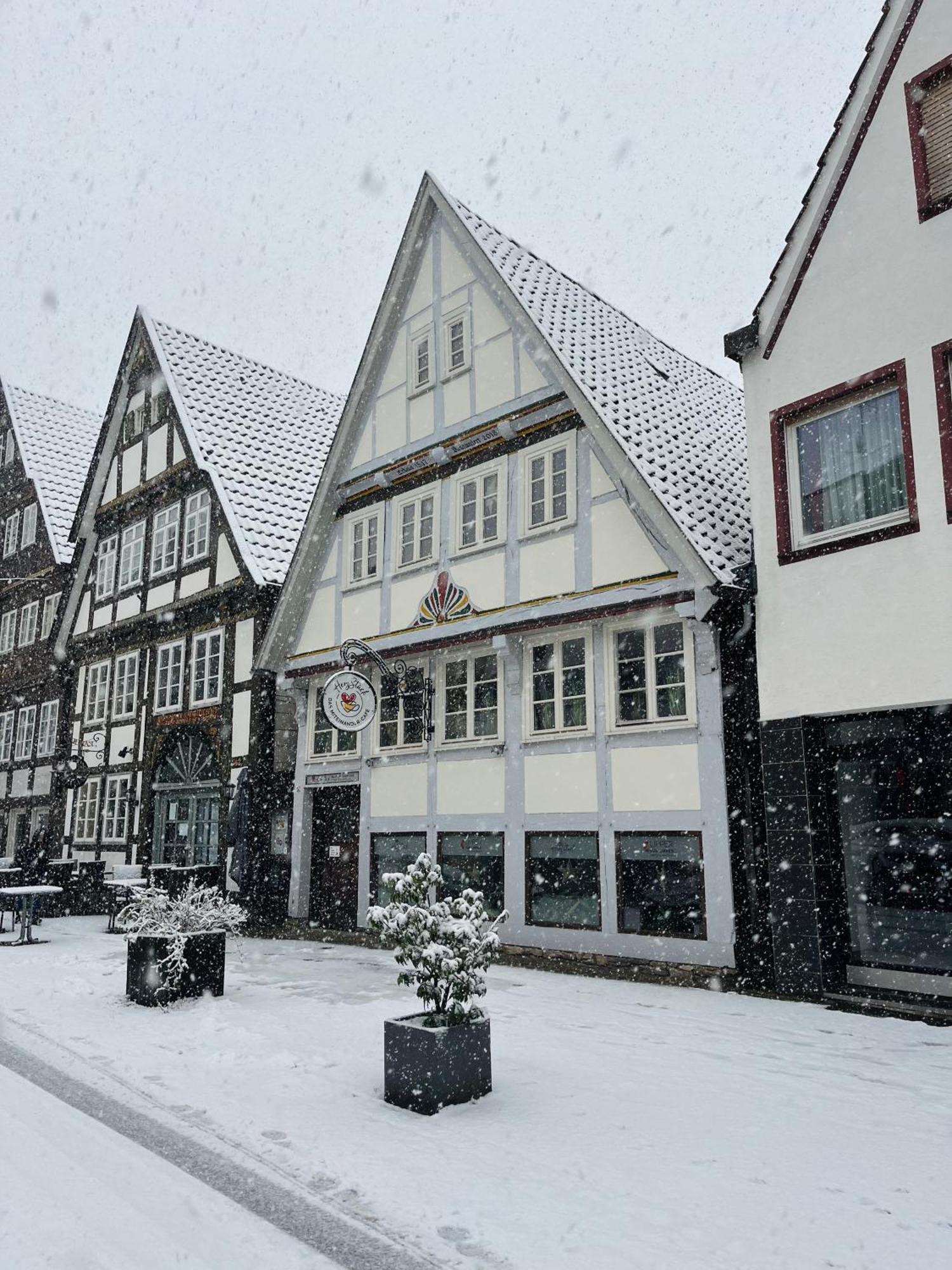 Goldloeckchen - Gemuetliches 80 Qm Im Herzen Der Detmolder Innenstadt